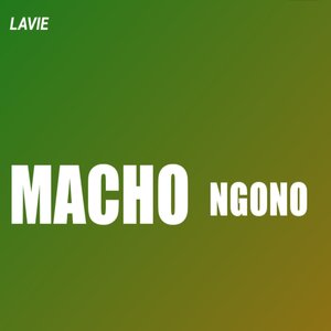 Macho Ngono
