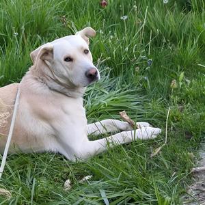 More than The Gram! (feat. END HIM!)