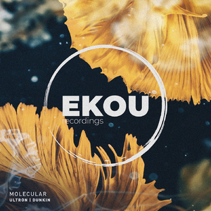 ULTRON (Original Mix)