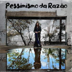 Pessimismo da Razão