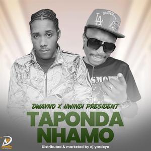 TAPONDA NHAMO (feat. HWINDI PRESIDENT)