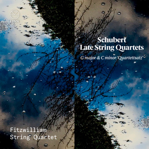 String Quartet in C Minor "Quartettsatz", D. 703: I. Allegro assai