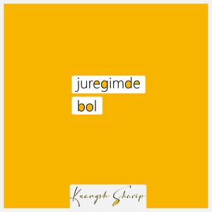 juregimde bol