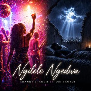 Ngilele Ngedwa 2.0