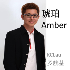 Amber (琥珀)