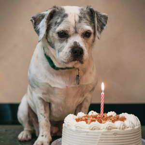 Feliz Cumpleaños Es Tu Dia Hoy