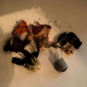 Едим стекло