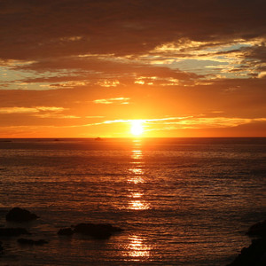 「FREE」‘SUN’ WAVE BEAT