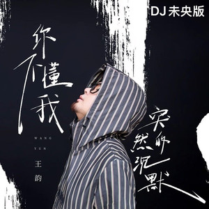 你不懂我突然的沉默 (DJ未央版)