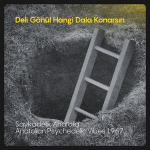 Deli Gönül Hangi Dala Konarsın (feat. Saykodelik Anatolia)