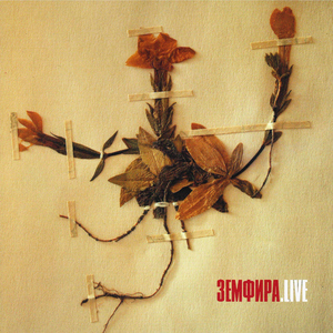 ГЛАВНОЕ (LIVE)