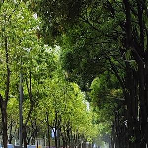 今天运动了吗.wav