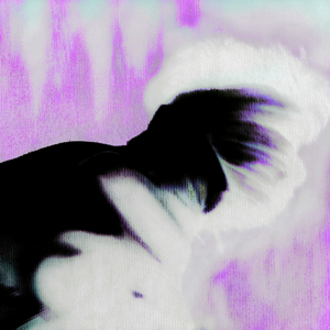 Ultra Ángel Exterminador