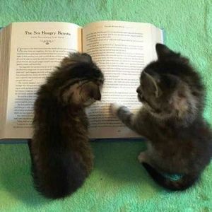 幸福就是和你在一起 | 90s Rnb × cloudbxy Type Beat