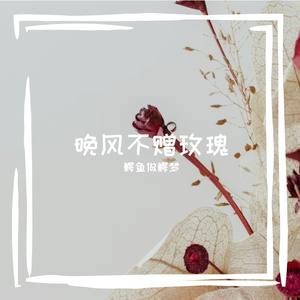 晚风不赠玫瑰