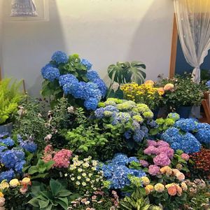 小小星星眨眼睛