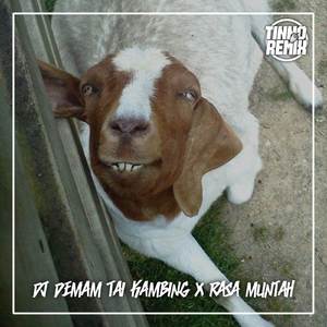 DJ DEMAM TAI KAMBING X RASA MUNTAH