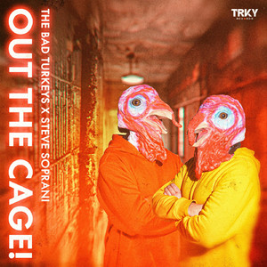 Out the Cage! (Original mix)