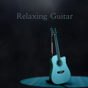 감성 (기타) (밤숲소리 ASMR)