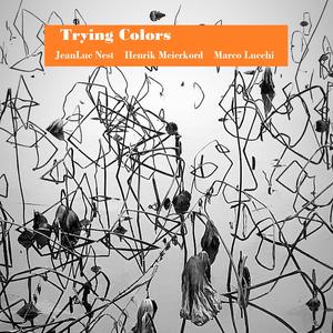 Mousse verte dans la Forêt profonde