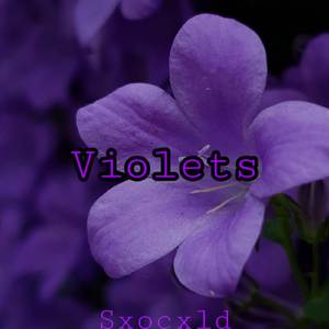 Violets