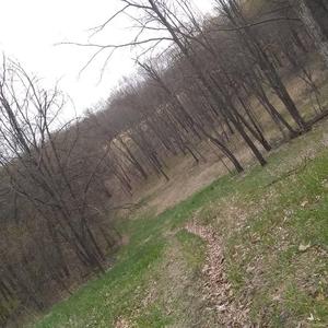 i could never like u