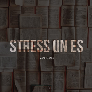 Stress un es