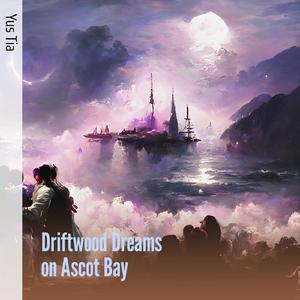 Driftwood Dreams on Ascot Bay