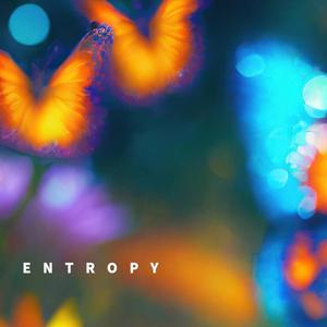 Entropy (Meditation)