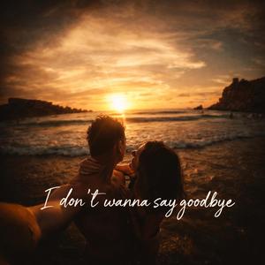 I Don't Wanna Say Goodbye