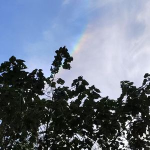 风过冬向（DJ安在哉 remix）