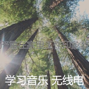 一尘不染正在学习印象数