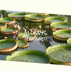 Inhospitable Afternoon