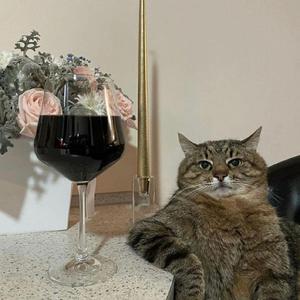 释怀吧在这个浪漫的春天