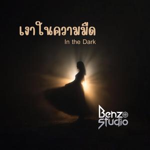 เงาในความมืด (In The Dark)