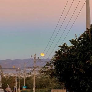 天上的星星不说话（女生版）（翻自 俞天时Kozay/Rarpid望江晴）