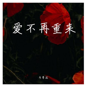 爱不再重来