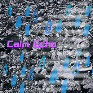 平静的回声 Calm Echo