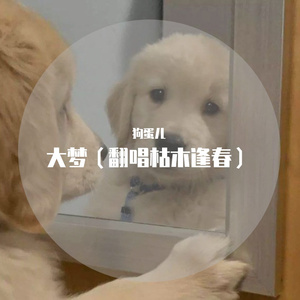 大梦.(翻自 枯木逢春)