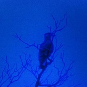 【free】rnb伴奏& blue1