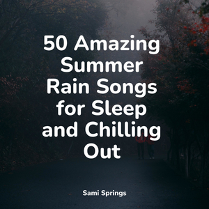 Forest, Evening, Calm, Birds