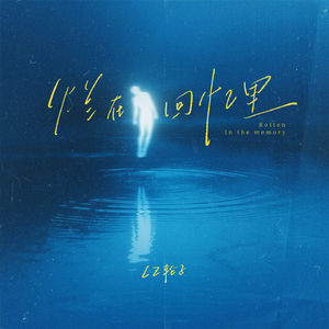 烂在回忆里 (释怀不了心好痛)