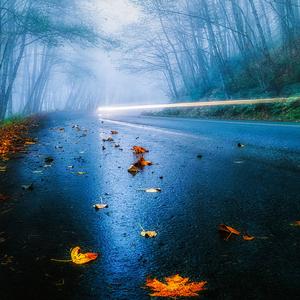 缓解压力 安心入眠