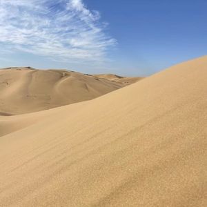 幸福马卡龙等等