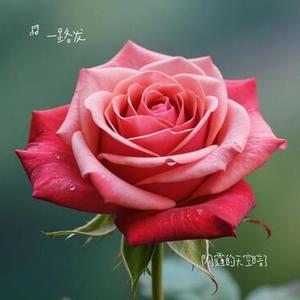 阴霾的天空暗了