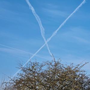 Naturens Superhelte