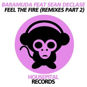Feel the Fire (Deex Remix) [Feat. Sean Declase]
