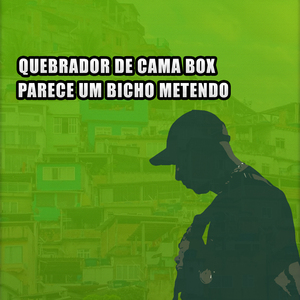 Quebrador de Cama Box Parece um Bicho Metendo