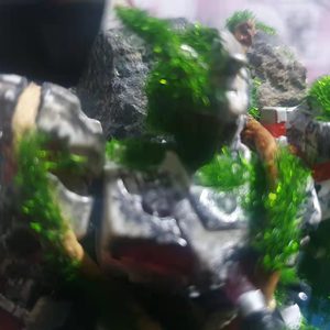 ＊Crimson＊[绯红＋recycleBin]