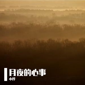 月夜的心事